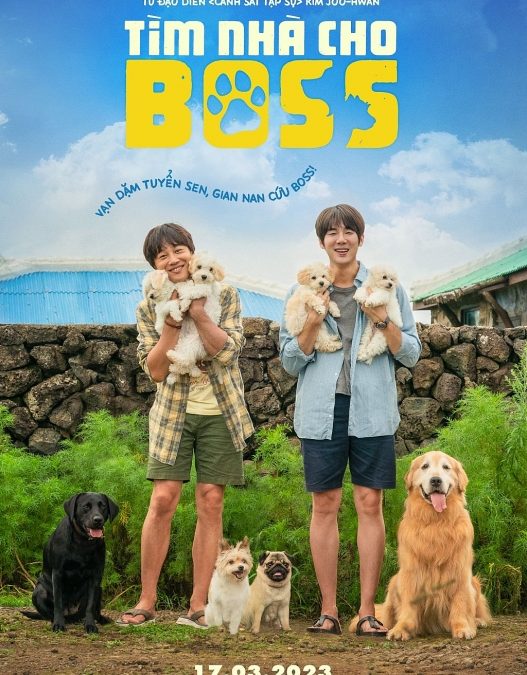 ‘Tìm nhà cho ‘Boss’ – Một bộ phim chữa lành xứ Hàn không thể bỏ lỡ 
