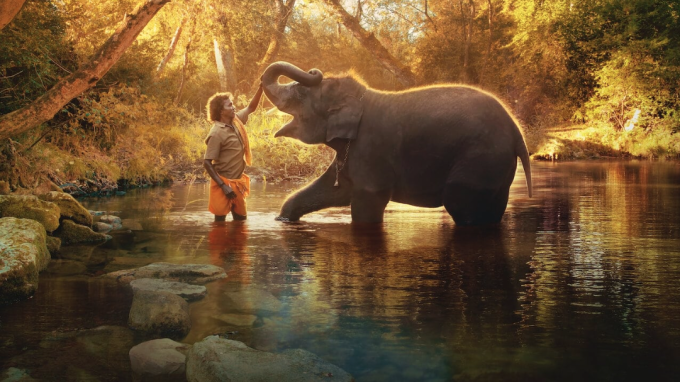 ‘The Elephant Whisperers’ – sự gắn kết giữa con người với thiên nhiên.